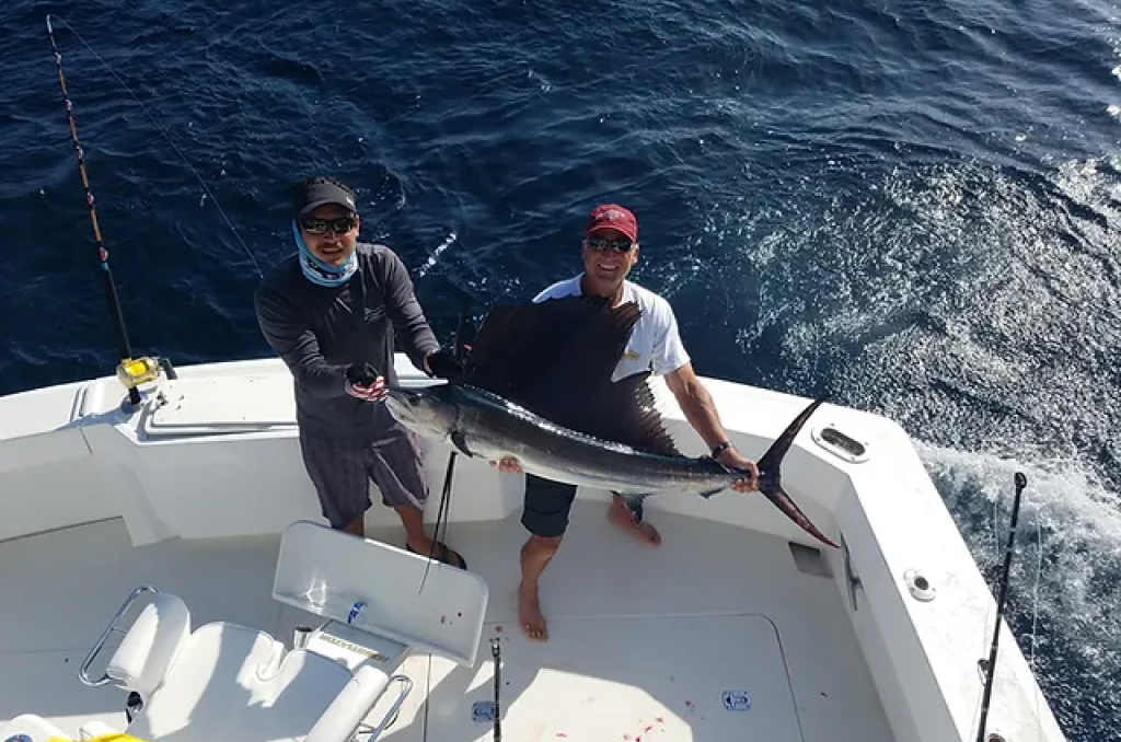 Cabo Sportfishing Charters